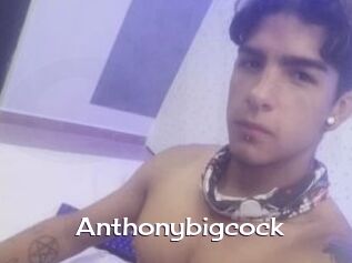 Anthonybigcock