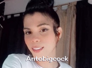 Antobigcock