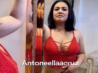 Antoneellaacruz