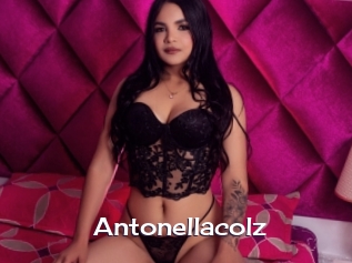 Antonellacolz