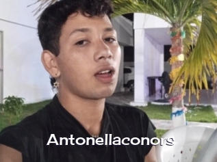 Antonellaconors