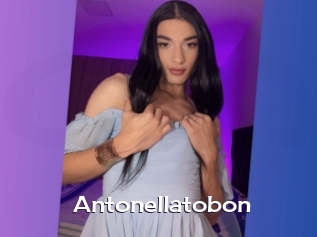 Antonellatobon