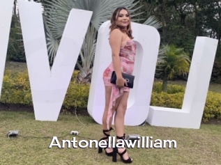 Antonellawilliam