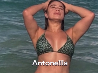 Antonellla