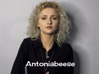 Antoniabeese