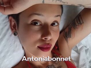 Antoniabonnet