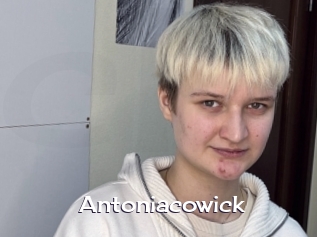 Antoniacowick