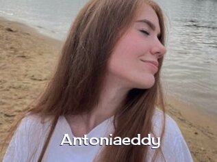 Antoniaeddy