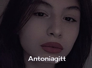 Antoniagitt