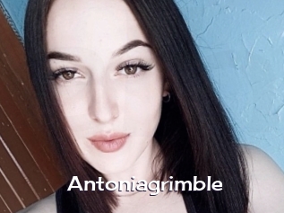 Antoniagrimble