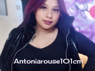 Antoniarouse101cm