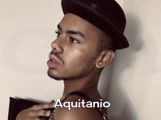 Aquitanio