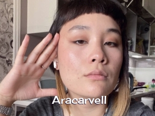 Aracarvell