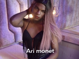 Ari_monet