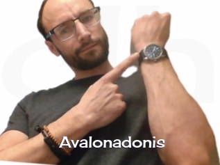 Avalonadonis