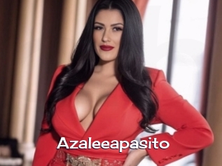 Azaleeapasito