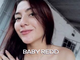 BABY_REDD