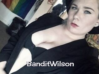 Bandit_Wilson