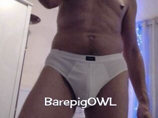 BarepigOWL