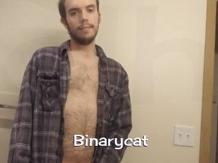 Binarycat