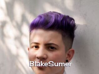 BlakeSumer