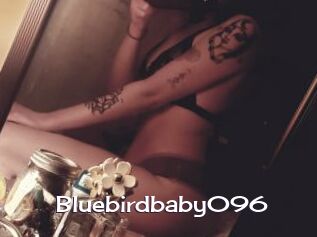 Bluebirdbaby096