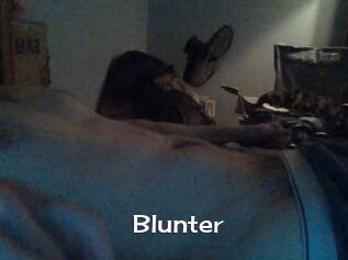 Blunter