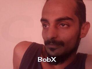 BobX