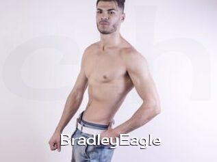 BradleyEagle Click here to exit