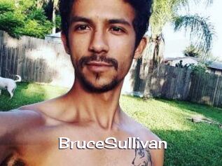 Bruce_Sullivan Click here to exit