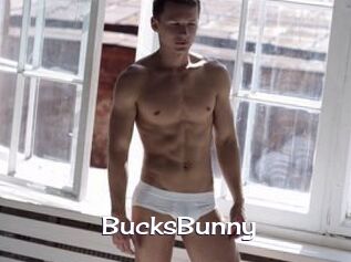 BucksBunny