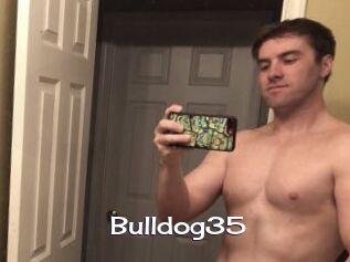 Bulldog35