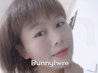 Bunnyhere