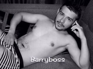 Barryboss