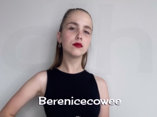 Berenicecowee