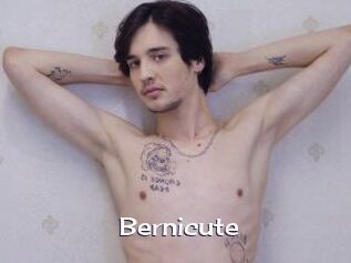 Bernicute