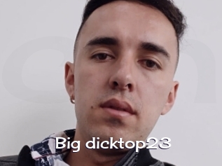 Big_dicktop23