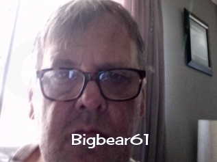 Bigbear61