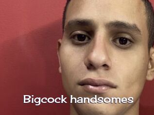 Bigcock_handsomes