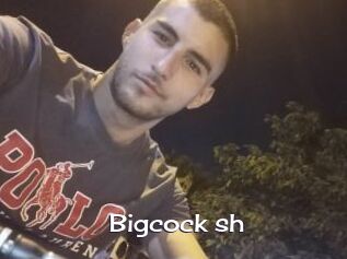 Bigcock_sh