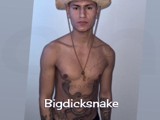 bigdicksnake Click here to exit