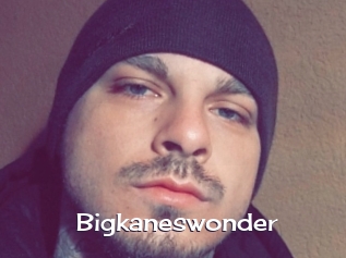 Bigkaneswonder