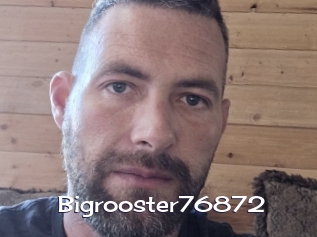 bigrooster76872 Click here to exit