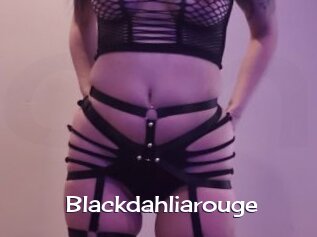 Blackdahliarouge