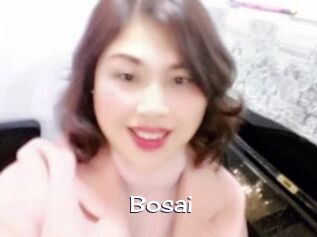 Bosai