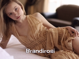 Brandirosi