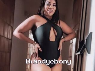 Brandyebony