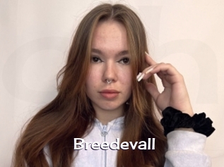 Breedevall