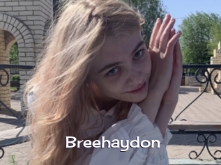 Breehaydon