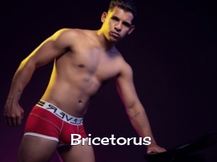 Bricetorus